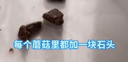 蘑菇视频黑料爆料黑料门,揭秘网络舆论背后的真相