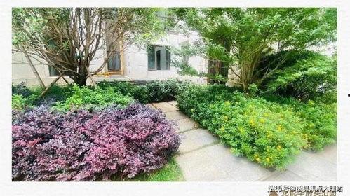 龙悦华府最新爆料消息,揭秘神秘豪宅背后的惊人真相